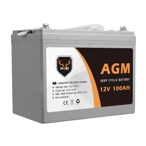 100Ah Deep Cycle Battery 12V AGM Marine Sealed Solar Power Portable 4WD