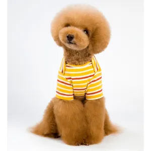 A Plus A Pets Soft Cotton T Shirts for Dogs (Yellow)