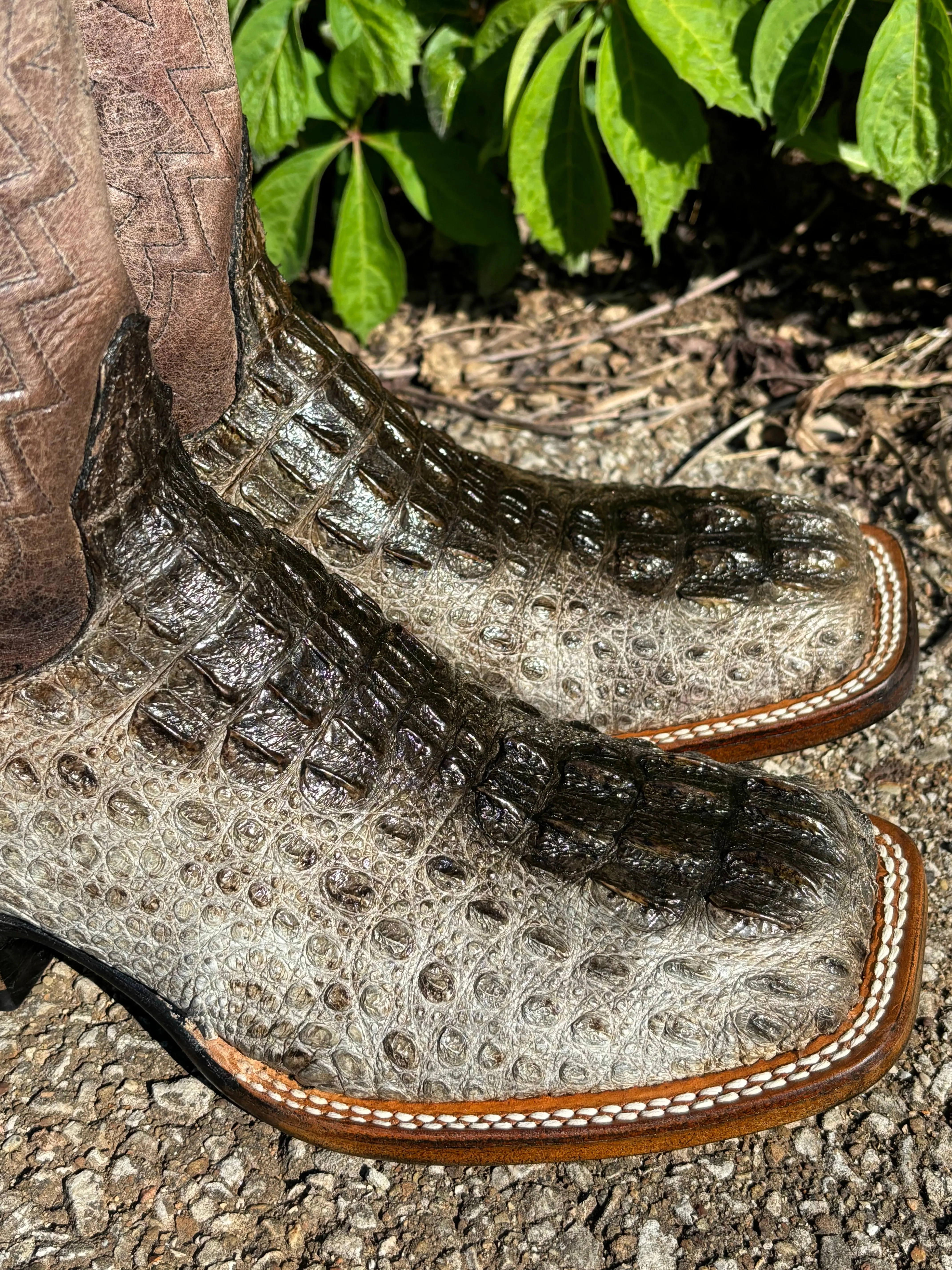 Black Jack Men’s Natural Caiman Hornback Square Toe Western Cowboy Boots NT-7721-96