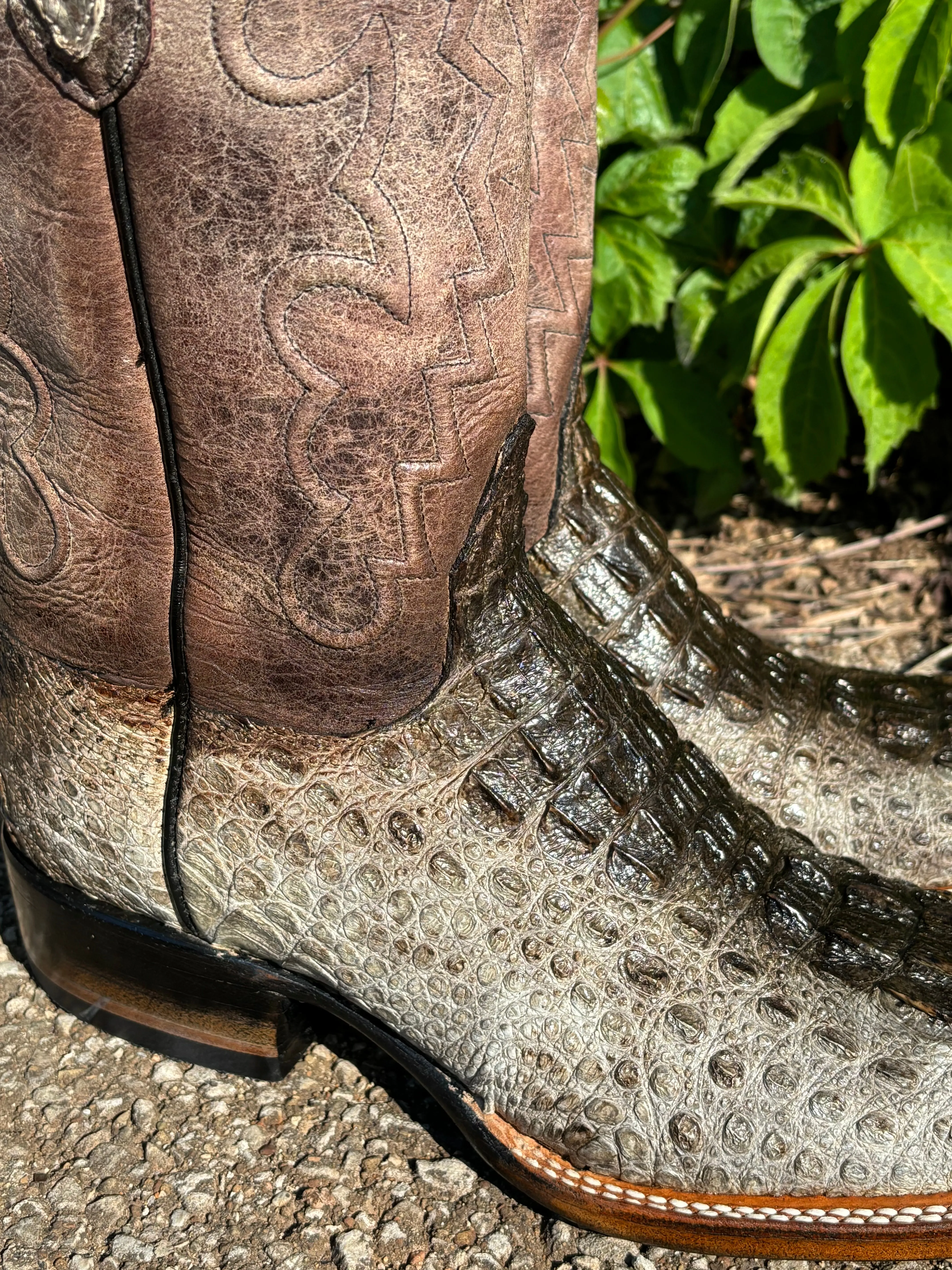 Black Jack Men’s Natural Caiman Hornback Square Toe Western Cowboy Boots NT-7721-96