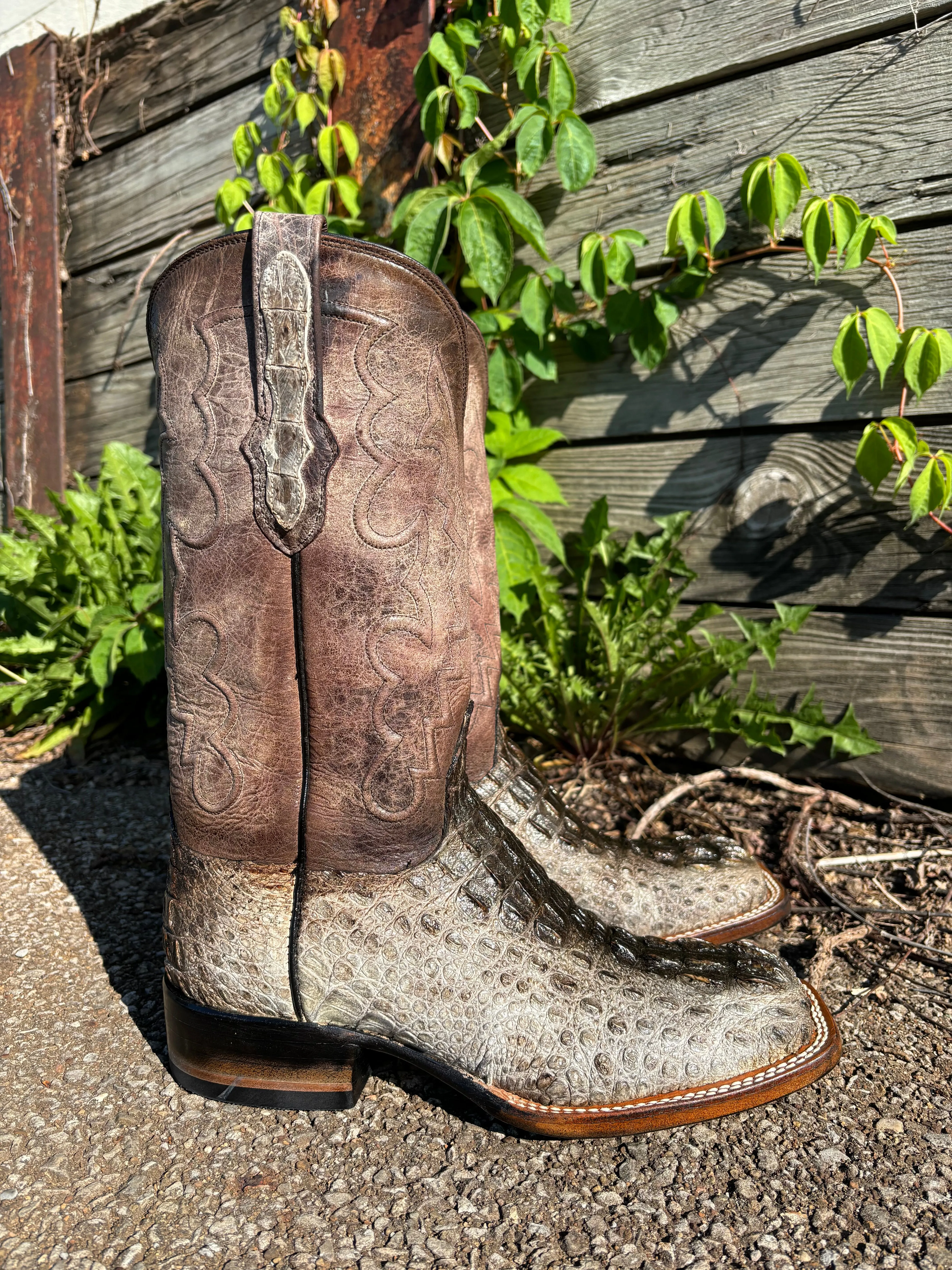 Black Jack Men’s Natural Caiman Hornback Square Toe Western Cowboy Boots NT-7721-96