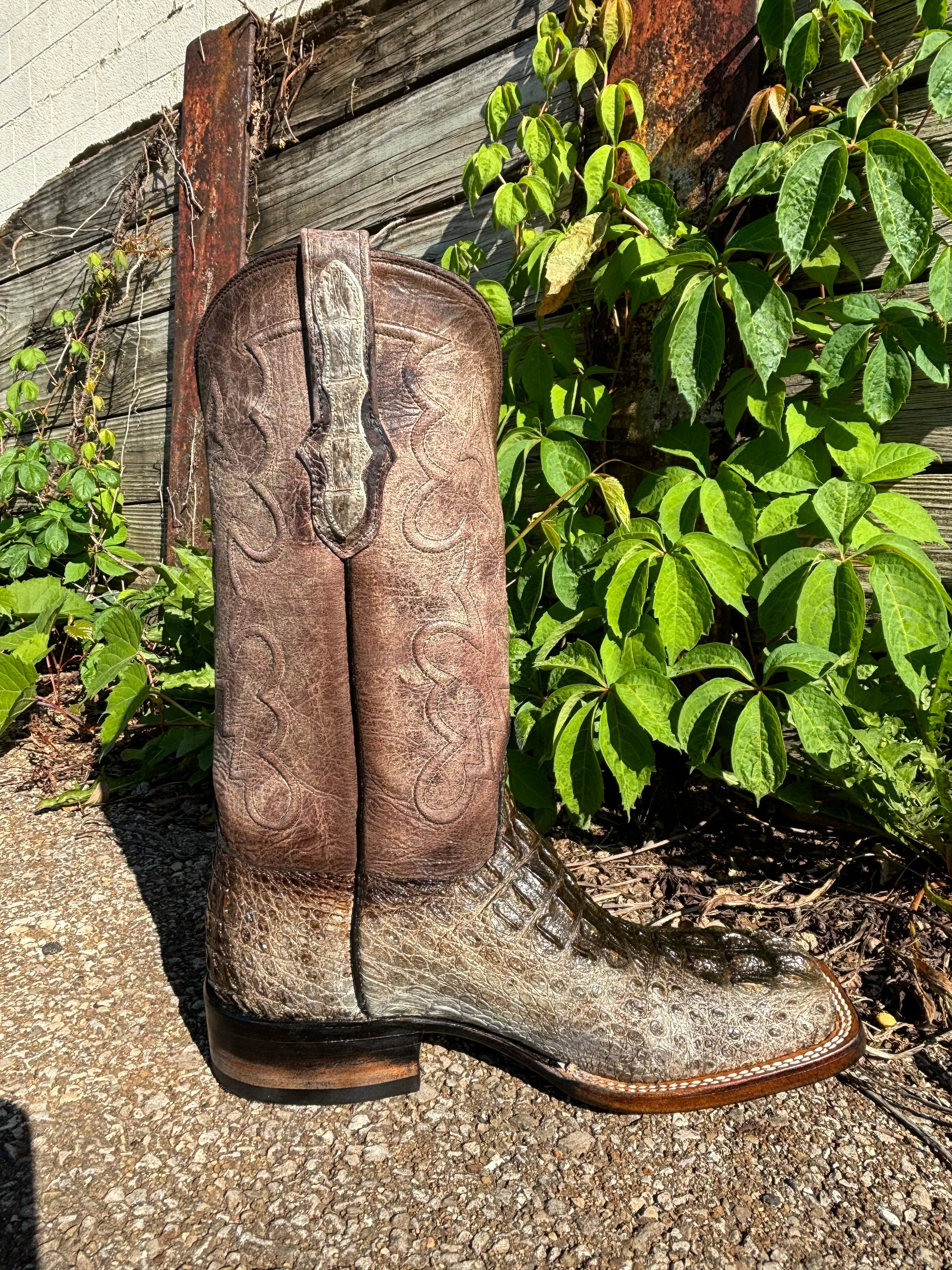 Black Jack Men’s Natural Caiman Hornback Square Toe Western Cowboy Boots NT-7721-96