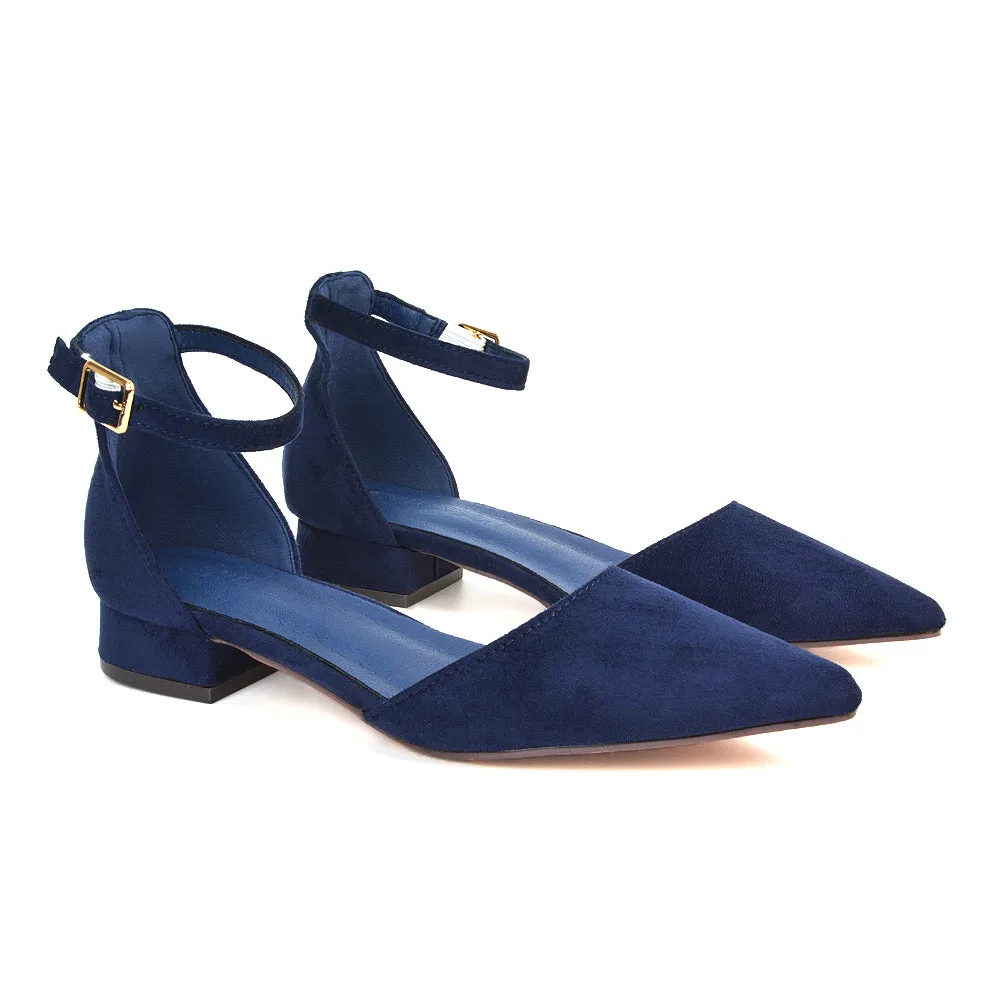 Robyn Pointed Toe Low Heel Strappy Court Shoes in Navy Faux Suede