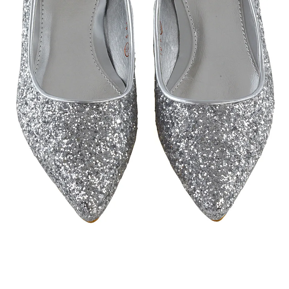 Rosalie Statement Pointed Toe Flat Bridal Ballerina Pump Shoes in Silver Glitter