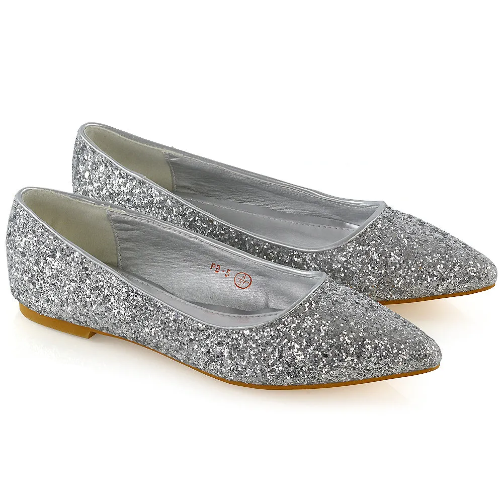 Rosalie Statement Pointed Toe Flat Bridal Ballerina Pump Shoes in Silver Glitter