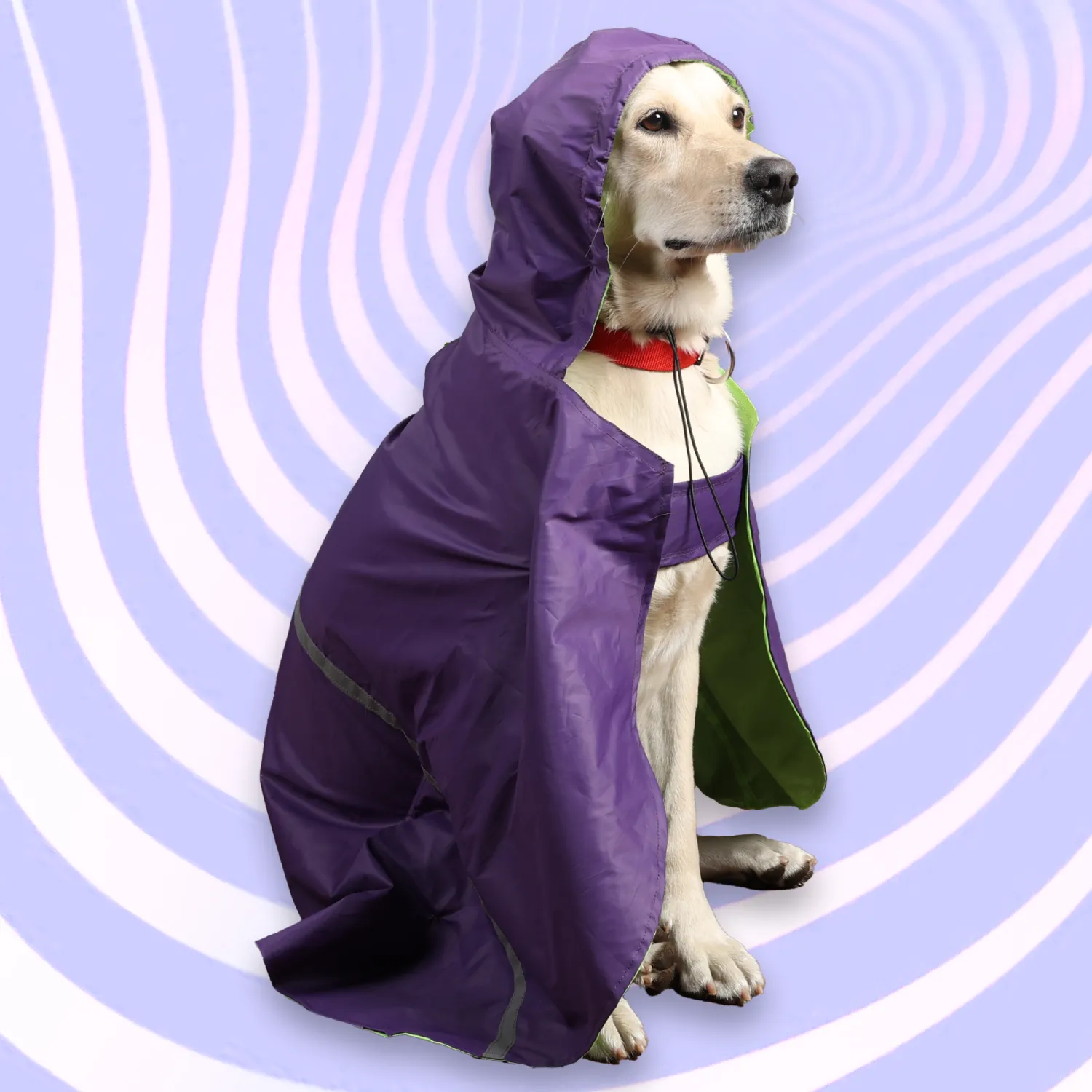 Skatrs Full Coverage Cape Style Raincoat for Dogs and Cats (Purple)